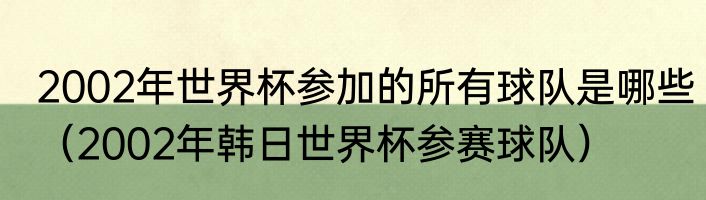 2002年世界杯参加的所有球队是哪些（2002年韩日世界杯参赛球队）
