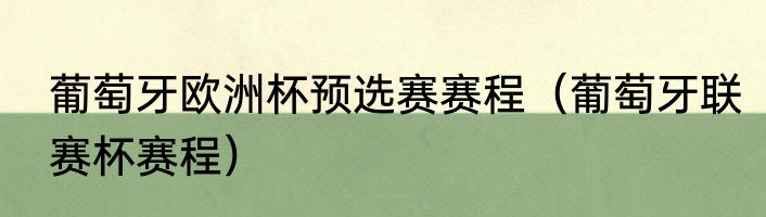 葡萄牙欧洲杯预选赛赛程（葡萄牙联赛杯赛程）