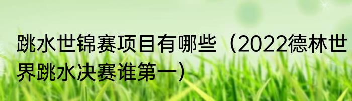 跳水世锦赛项目有哪些（2022德林世界跳水决赛谁第一）