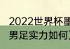 2022世界杯墨西哥实力分析（墨西哥男足实力如何）