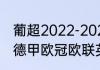 葡超2022-2023各队实力（意甲法甲德甲欧冠欧联英超有什么区别）