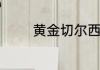 黄金切尔西到底有几种颜色
