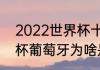 2022世界杯十大球星（2022年世界杯葡萄牙为啥是最强）
