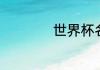 世界杯名次怎么排的