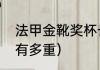 法甲金靴奖杯长啥样（世界杯金靴奖有多重）