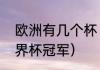 欧洲有几个杯（法国多少个欧洲杯世界杯冠军）