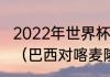 2022年世界杯预选赛美洲杯小组情况（巴西对喀麦隆比赛时间）