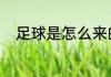 足球是怎么来的60字（足球介绍）