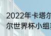 2022年卡塔尔世界杯比赛结果（卡塔尔世界杯小组赛战绩）