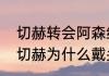 切赫转会阿森纳了吗（切尔西守门员切赫为什么戴头盔）