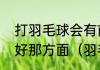 打羽毛球会有前途吗我家孩子特别爱好那方面（羽毛球四大天王外号）