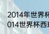 2014年世界杯西班牙小组赛成绩（2014世界杯西班牙为什么不用托雷斯）