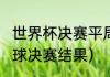 世界杯决赛平局咋办（2020世界杯足球决赛结果）
