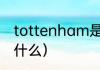 tottenham是什么球队（猛龙全名叫什么）