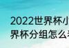 2022世界杯小组赛分组（2022年世界杯分组怎么看）