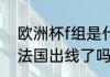 欧洲杯f组是什么意思（2020欧洲杯法国出线了吗）