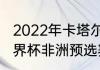 2022年卡塔尔世界杯非洲区排名（世界杯非洲预选赛积分榜）