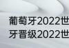 葡萄牙2022世界杯预选赛赛程（葡萄牙晋级2022世界杯几场比赛）