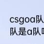 csgoa队为什么叫科技队（apeks战队是a队吗）