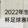 2022年世界杯为什么冬季举办（世界杯足球赛哪两届间隔了12年）