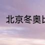 北京冬奥比赛项目（冬奥滑冰冠军）