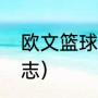 欧文篮球队的标志（欧文篮球队的标志）