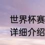 世界杯赛制及规则（世界杯赛制规则详细介绍）