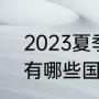 2023夏季赛分组规则（2021欧洲杯有哪些国家参加）