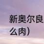 新奥尔良是什么地方（新奥尔良是什么肉）