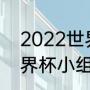 2022世界杯小组出线几个（2022世界杯小组赛抽签分档规则）