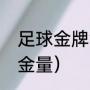足球金牌含金量（梅西奥运会金牌含金量）