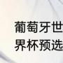 葡萄牙世界杯预选赛历程（葡萄牙世界杯预选赛成绩）
