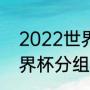 2022世界杯小组赛分组（2022年世界杯分组怎么看）