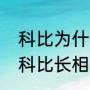 科比为什么不娶瓦妮莎（瓦妮莎评价科比长相）