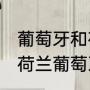 葡萄牙和荷兰哪个面积大（06世界杯荷兰葡萄牙为啥打起来了）