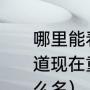 哪里能看体育比赛回放（辽宁体育频道现在重播双人斗地主鞍东兄弟叫什么名）