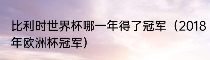 比利时世界杯哪一年得了冠军（2018年欧洲杯冠军）