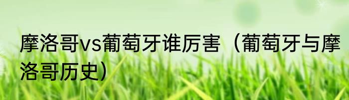 摩洛哥vs葡萄牙谁厉害（葡萄牙与摩洛哥历史）