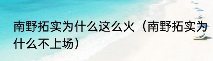 南野拓实为什么这么火（南野拓实为什么不上场）
