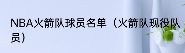 NBA火箭队球员名单（火箭队现役队员）