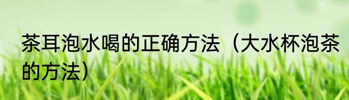 茶耳泡水喝的正确方法（大水杯泡茶的方法）