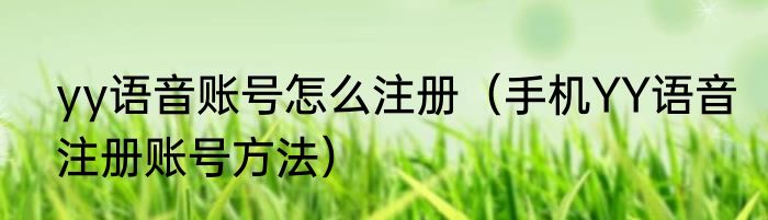 yy语音账号怎么注册（手机YY语音注册账号方法）