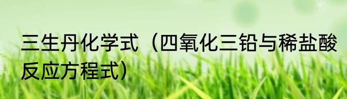 三生丹化学式（四氧化三铅与稀盐酸反应方程式）