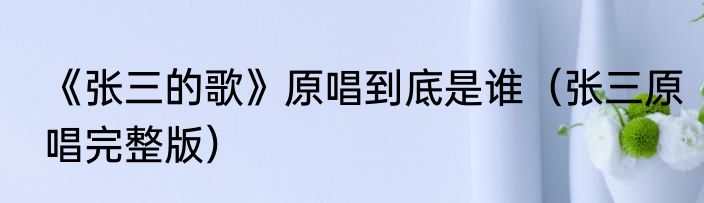 《张三的歌》原唱到底是谁（张三原唱完整版）