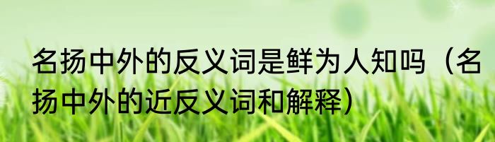 名扬中外的反义词是鲜为人知吗（名扬中外的近反义词和解释）