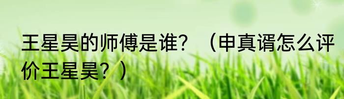 王星昊的师傅是谁？（申真谞怎么评价王星昊？）