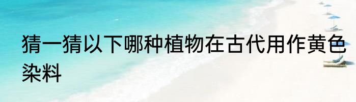 猜一猜以下哪种植物在古代用作黄色染料