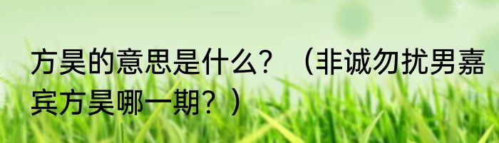 方昊的意思是什么？（非诚勿扰男嘉宾方昊哪一期？）