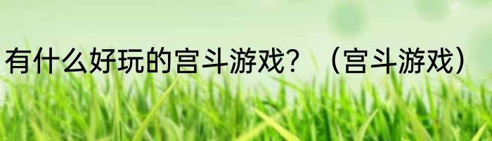有什么好玩的宫斗游戏？（宫斗游戏）