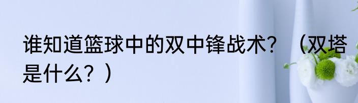 谁知道篮球中的双中锋战术？（双塔是什么？）